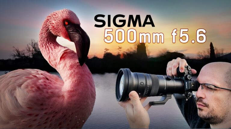 test-sigma-500mm-f-5-6