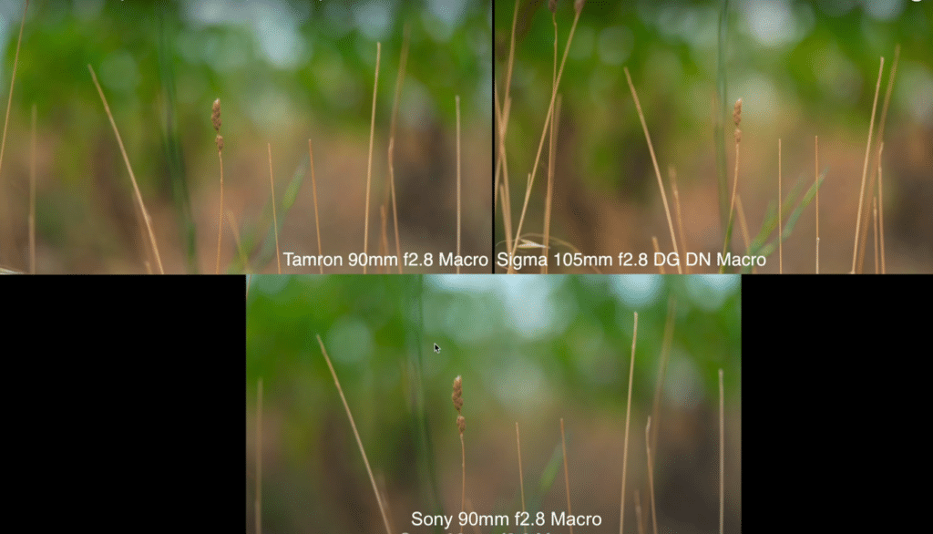 Comparaison du bokeh sur des objectifs Macro