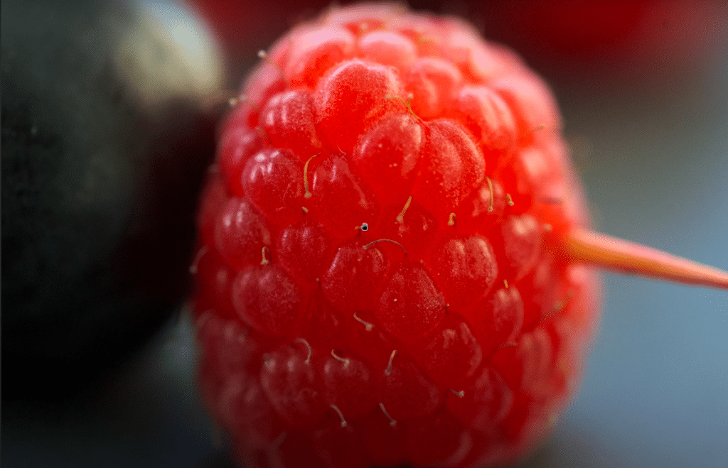 Macro-photographie d'une framboise avec le Tamron 90mm f2.8