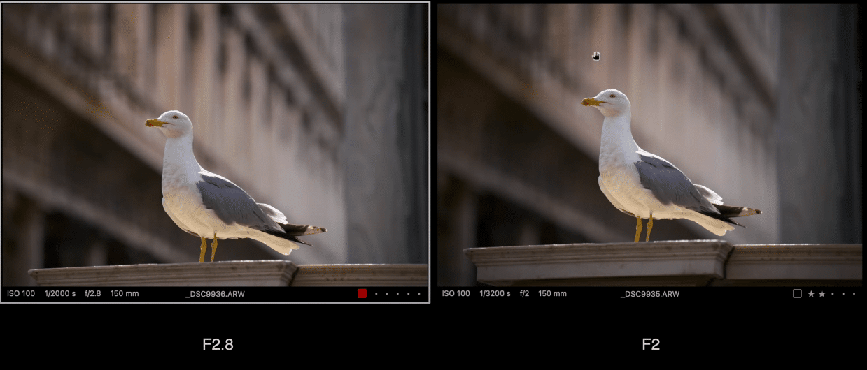 Comparatif du bokeh avec une ouverture à f2 ou f2.8